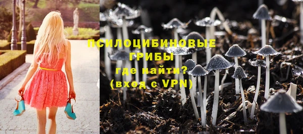 соль курить ск Алзамай